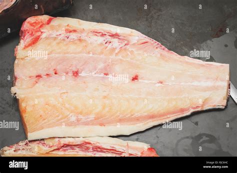 Pintado fish fillet. Brazilian Pintado fish, white meat, leather fish with rounded black spots ...