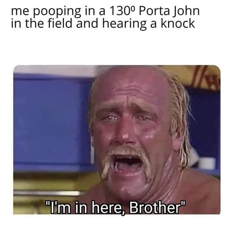 Hulk Hogan Brother Meme