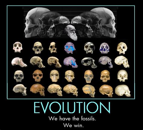 Americans are ignorant fools about evolution–Part 2