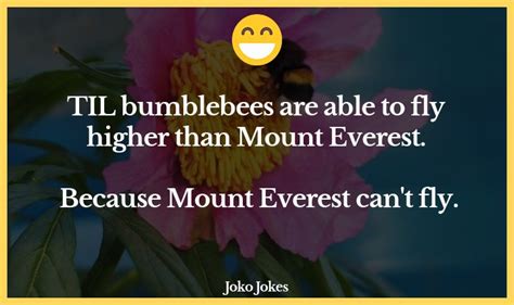 9+ Bumblebee Jokes And Funny Puns - JokoJokes