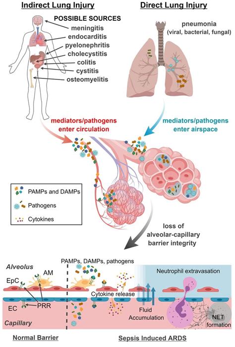 JCI Insight - Integrating molecular pathogenesis and clinical ...