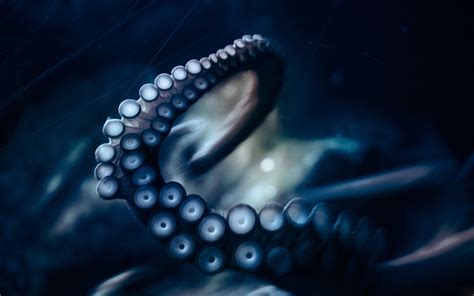 Wallpaper : tentacles, movement, suckers 2560x1600 - 4kWallpaper ...