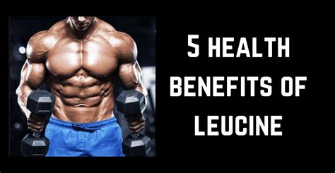 Leucine Benefits: 5 Things That Make This Amino Acid Amazing