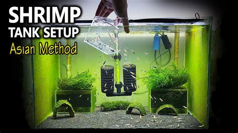 Shrimp Tank Setup for Caridina | Asian Method with Undergravel Filter ...