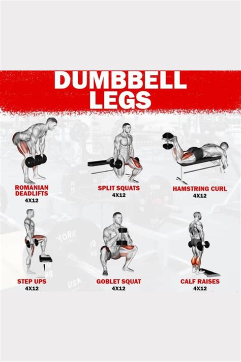 Dumbbell legs workout in 2023 | Dumbbell workout, Dumbbell leg workout, Dumbbell only workout