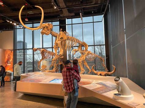 How to Visit the Burke Museum in Seattle with Kids - Marcie in Mommyland