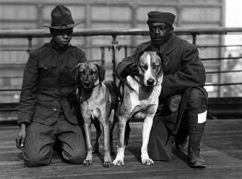 Six Incredible Roles Performed by Dogs in World War I - World War I Centennial site