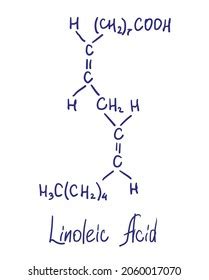 Linoleic Acid Chemical Structure Vector Illustration Stock Vector (Royalty Free) 2060017070 ...