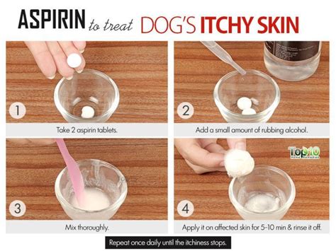 Home Remedies to Deal with Itchy Skin in Dogs | Top 10 Home Remedies | Dog itchy skin remedy ...