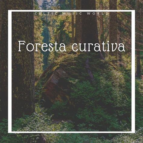 Album Foresta curativa - Musica strumentale celtica, Celtic Music World | Qobuz: download and ...