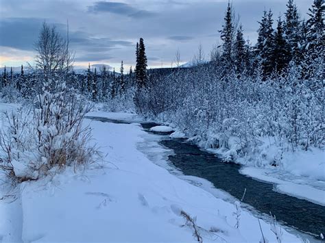 How To Have An Incredible Winter in Alaska Adventure