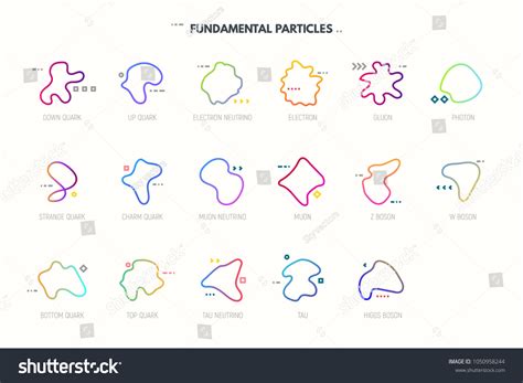 Standard Model Elementary Particles String Theory Stock Vector (Royalty Free) 1050958244 ...