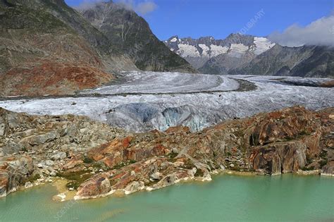 Aletsch Glacier - Stock Image - C014/3044 - Science Photo Library