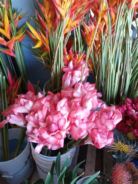 Create Your Own Arrangement – Maui Tropical Flowers