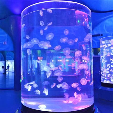 Custom Acrylic Marine Jellyfish Tank Aquariums & Accessories Glass Eco ...