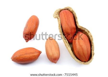 Single Peanut Shell Isolated On Black Stock Photo 7949086 - Shutterstock