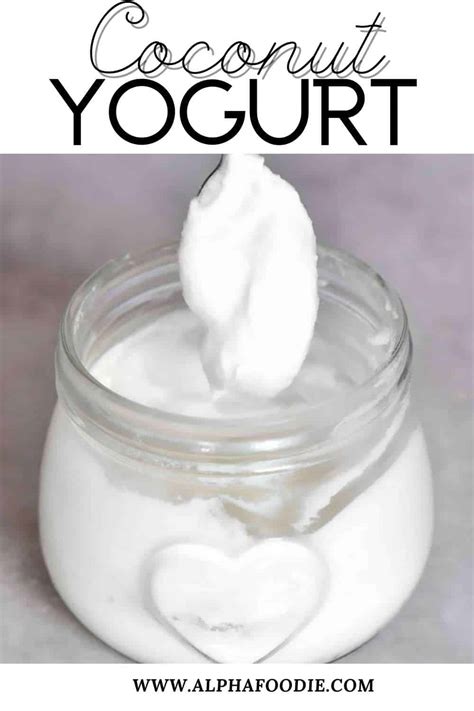 Dairy-Free Easy Coconut Yogurt - Alphafoodie