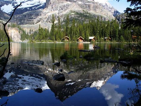 🔥 [40+] Lake Cabin Wallpapers | WallpaperSafari