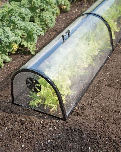 Capillary Mat for Seed Starting - $99+ Orders Ship Free | Gardeners.com | Garden cloche, Indoor ...