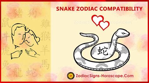 Snake Compatibility, Love and Marriage - Chinese Zodiac Compatibility