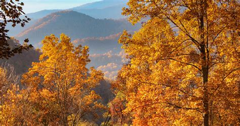 Fall Foliage 2018 Forecast and Guide - Blue Ridge Mountain Life