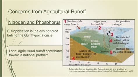 Agricultural Runoff