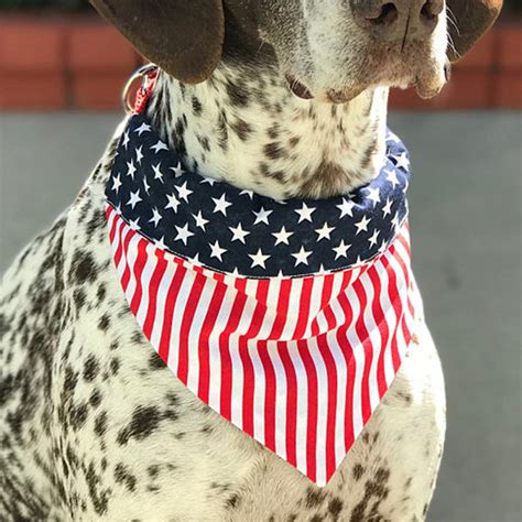 American Flag Dog Bandana Collar Cute Puppy Bandana