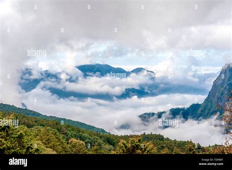 Alishan, Chiayi, Taiwan Stock Photo - Alamy