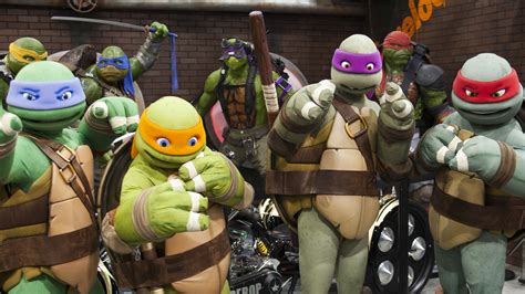 The Tragic Effect That Teenage Mutant Ninja Turtles Had On Real Turtles - Celeb 99