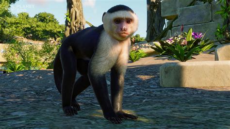 Planet Zoo: South America Pack | wingamestore.com