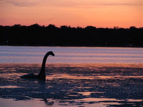 Nessie, can we be friends? | Strange places, Scotland, Cool photos