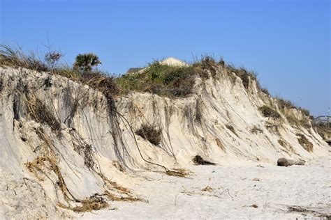 Beach Erosion Florida Coastline Free Stock Photo - Public Domain Pictures