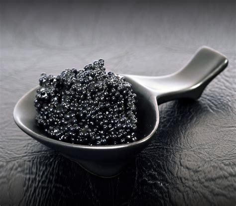 Prunier Caviar Love by Yves Saint Laurent – Haute Today