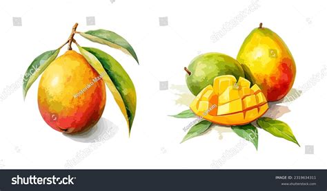 5,319 Watercolor Mango Images, Stock Photos, 3D objects, & Vectors ...