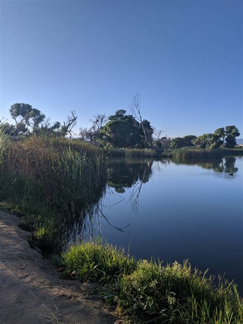 Mojave Narrows County Regional Park | The Dyrt