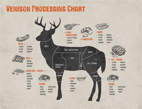 Diagram Of Venison Meat Cuts