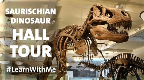 American Museum Of Natural History Dinosaur