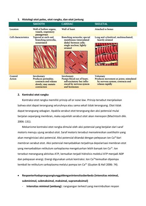 Muskuloskeletal 1 - Histologi otot polos, otot rangka, dan otot jantung ...