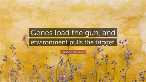 Elizabeth Blackburn Quote: “Genes load the gun, and environment pulls ...