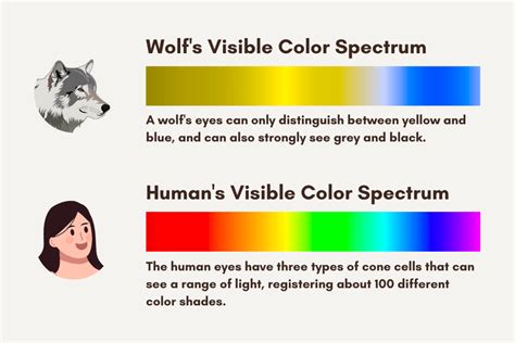 Wolves have dichromatic vision, meaning they can distinguish between shades of two colors ...