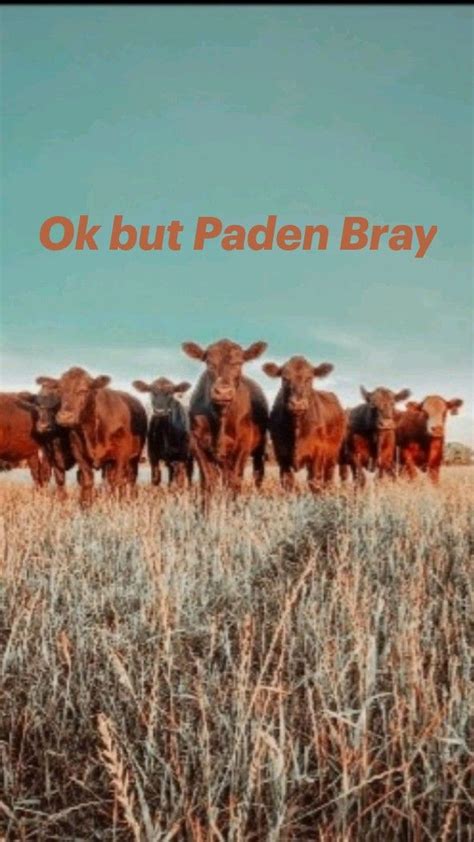 Ok but Paden Bray | Elk hunting, Cute country boys, Rodeo cowboys