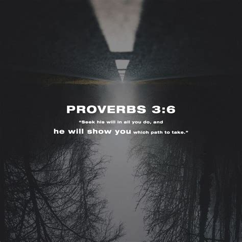 Proverbs 3:5-6 | Bible apps, Proverbs, Life verses