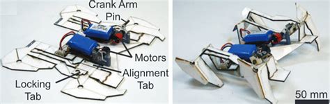 Robot folds itself up, walks away | Kurzweil