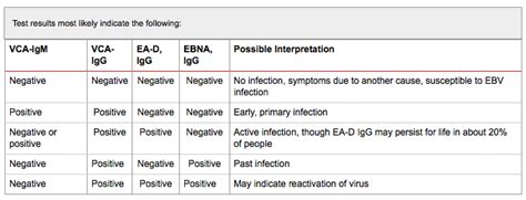 43 Everything You Need to Know to Interpret Epstein Barr (EBV) Results ...