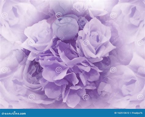 836 Background Flower Light Purple free Download - MyWeb