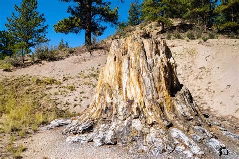 Visiting the Florissant Fossil Beds National Monument - Travel Addicts