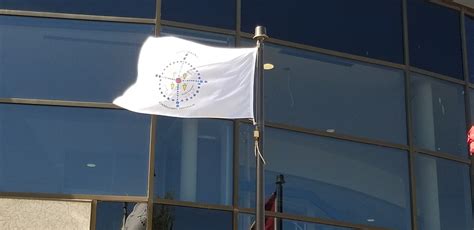 Blackfoot Confederacy flag raised in Lethbridge to mark National Indigenous Peoples Day ...