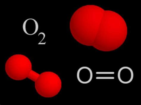 The properties, source and cycle of oxygen gas | Science online