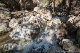 Black Star Canyon Falls: One of Southern California's Best & Most ...