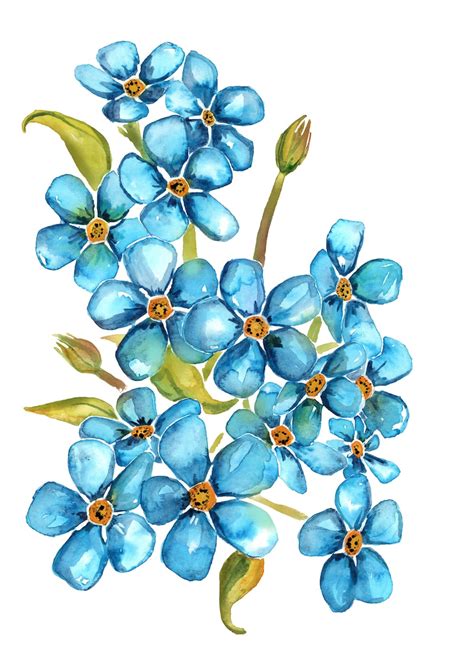 Forget Me Not Watercolor - Etsy